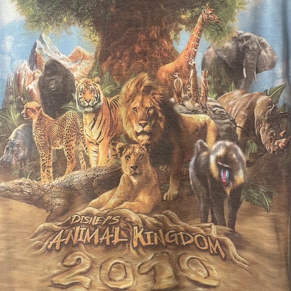 Disney’s Animal Kingdom 2010 Graphic Tee 🐆🦓🐘 - Picture 4 of 6